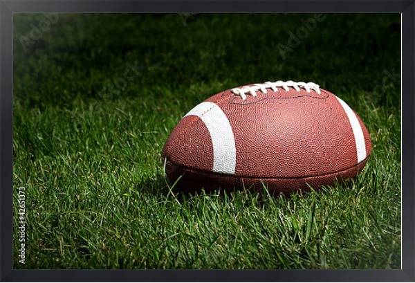 Постер Мяч для регби на траве с типом исполнения На холсте в раме в багетной раме 1727.8010