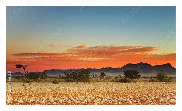 Постер Красочный закат в пустыне Калахари, Намибия с типом исполнения На холсте в раме в багетной раме 221-03