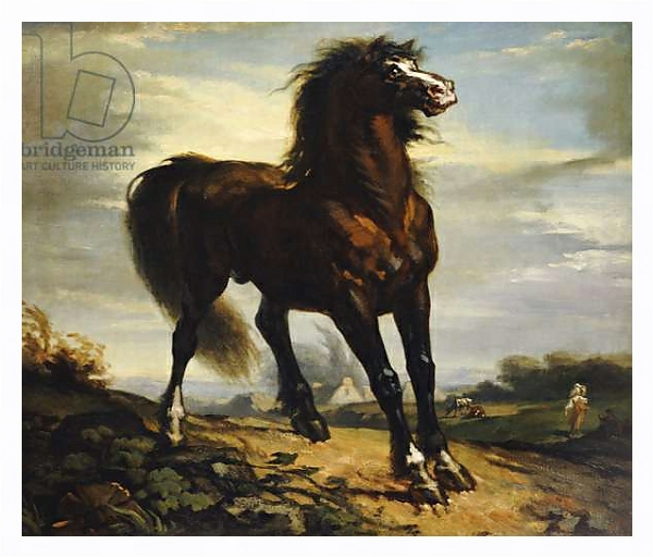 Постер The Horse с типом исполнения На холсте в раме в багетной раме 221-03