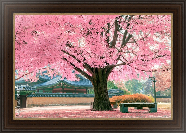 Постер Розовое дерево, Япония с типом исполнения На холсте в раме в багетной раме 1.023.151