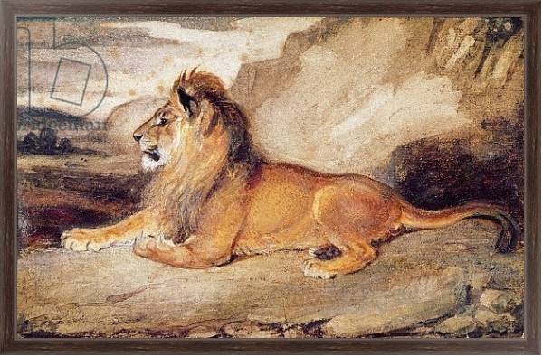 Постер Lion Resting с типом исполнения На холсте в раме в багетной раме 221-02