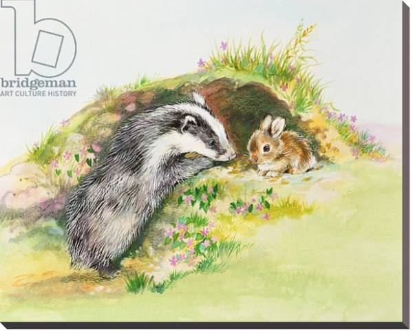 Постер Badger and a Rabbit с типом исполнения На холсте без рамы