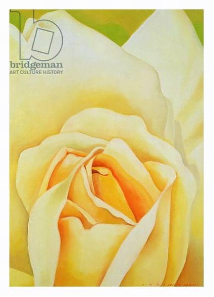 Постер The Rose, 1995 с типом исполнения На холсте в раме в багетной раме 221-03