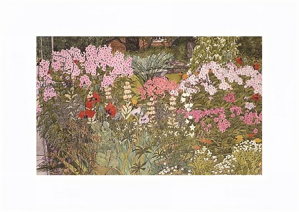 Постер Pink Phlox in the Herbaceous Border с типом исполнения На холсте в раме в багетной раме 221-03