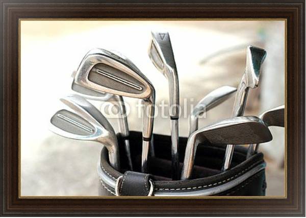 Постер Принадлежности для игры в гольф  1 с типом исполнения На холсте в раме в багетной раме 1.023.151