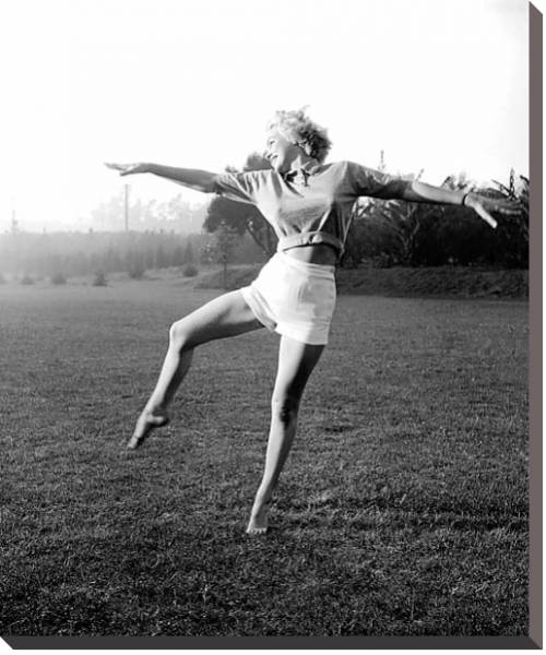 Постер Monroe, Marilyn 14 с типом исполнения На холсте без рамы