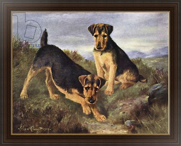 Постер Welsh Terriers Glansevin Coquette and Champion Glansevin Coda с типом исполнения На холсте в раме в багетной раме 1.023.151