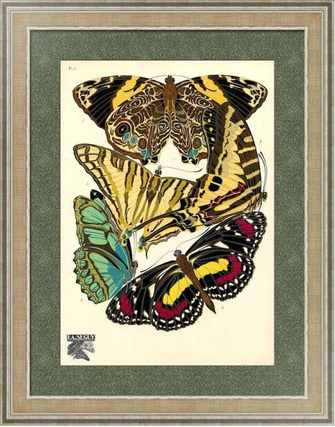 Постер Papillons by E. A. Seguy №16 с типом исполнения Акварель в раме в багетной раме 485.M40.584