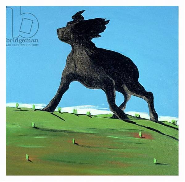 Постер Amazing Black Dog, 2000 с типом исполнения На холсте в раме в багетной раме 221-03