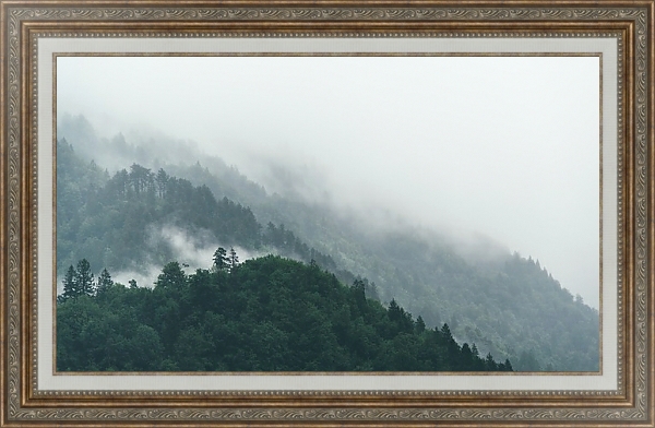 Постер Туманные леса на склонах холмов с типом исполнения На холсте в раме в багетной раме 595.M52.330