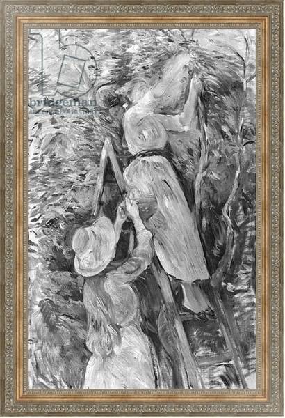 Постер Picking cherries, 1891 с типом исполнения На холсте в раме в багетной раме 484.M48.310