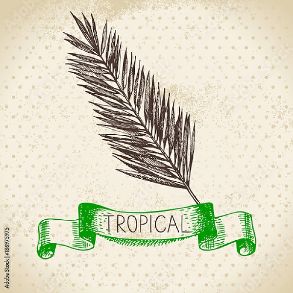 Постер Иллюстрация с пальмовым листом с типом исполнения На холсте без рамы