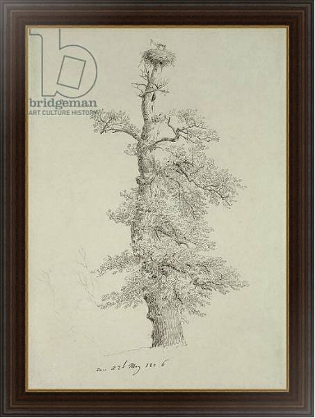 Постер Ancient Oak Tree with a Stork's Nest, 23rd May 1806 с типом исполнения На холсте в раме в багетной раме 1.023.151