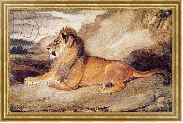Постер Lion Resting с типом исполнения На холсте в раме в багетной раме NA033.1.051