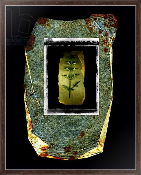 Постер Mare Nostrum, 2010, photographic contamination с типом исполнения На холсте в раме в багетной раме 221-02