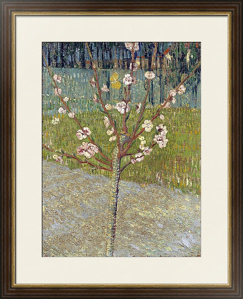 Постер Миндальное дерево в цвету, 1888 с типом исполнения Под стеклом в багетной раме 1.023.036