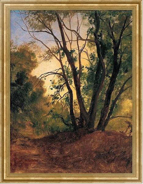 Постер Тропинка и деревья с типом исполнения На холсте в раме в багетной раме NA033.1.051