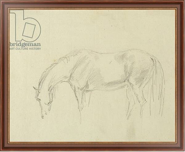 Постер A horse grazing с типом исполнения На холсте в раме в багетной раме 35-M719P-83