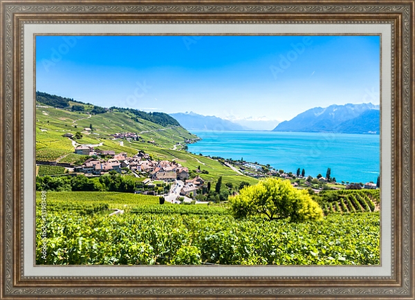 Постер Виноградники в регионе Лаво, Швейцария с типом исполнения На холсте в раме в багетной раме 595.M52.330