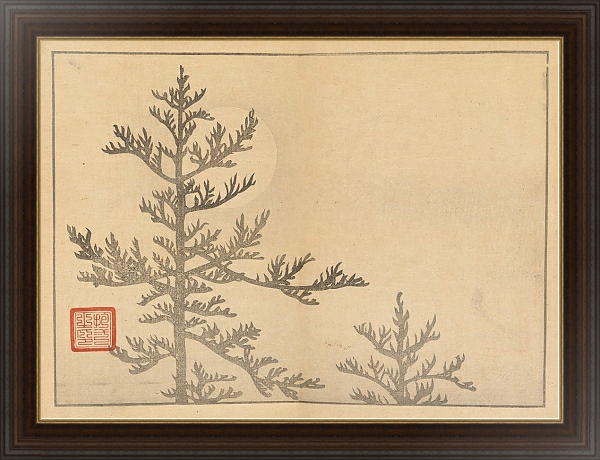 Постер Sakai Hōitsu gajō, Pl.16 с типом исполнения На холсте в раме в багетной раме 1.023.151