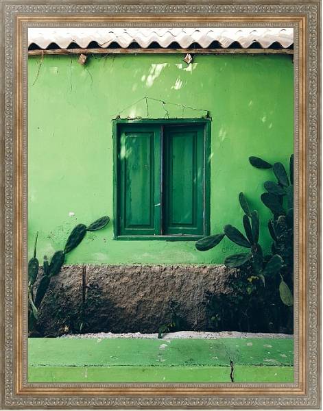 Постер Зеленый дом с кактусами с типом исполнения На холсте в раме в багетной раме 484.M48.310