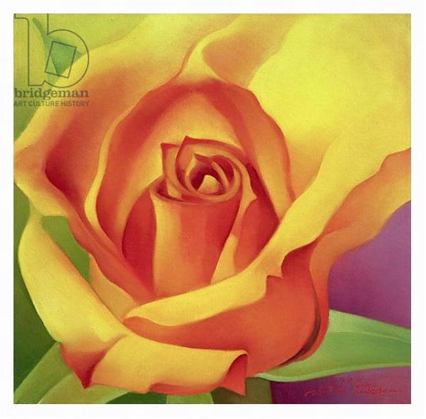 Постер The Rose, 2000 с типом исполнения На холсте в раме в багетной раме 221-03