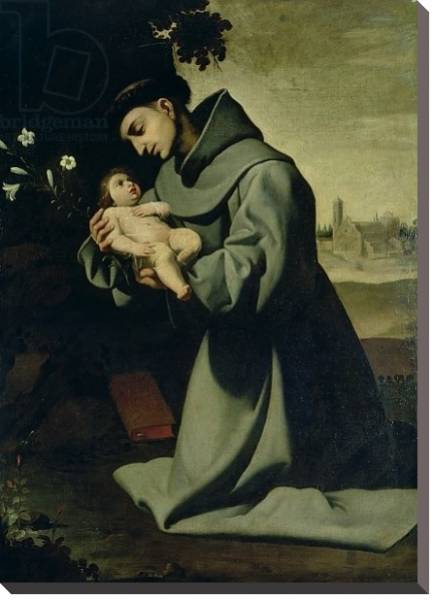 Постер St. Anthony of Padua с типом исполнения На холсте без рамы