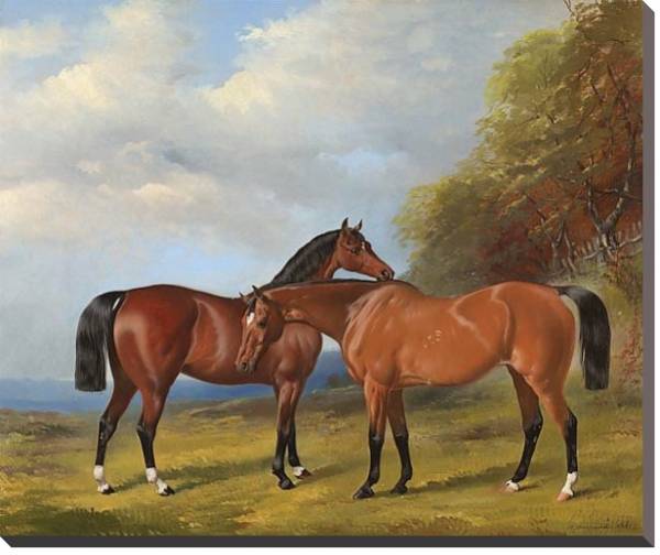 Постер Две скаковые лошади с типом исполнения На холсте без рамы