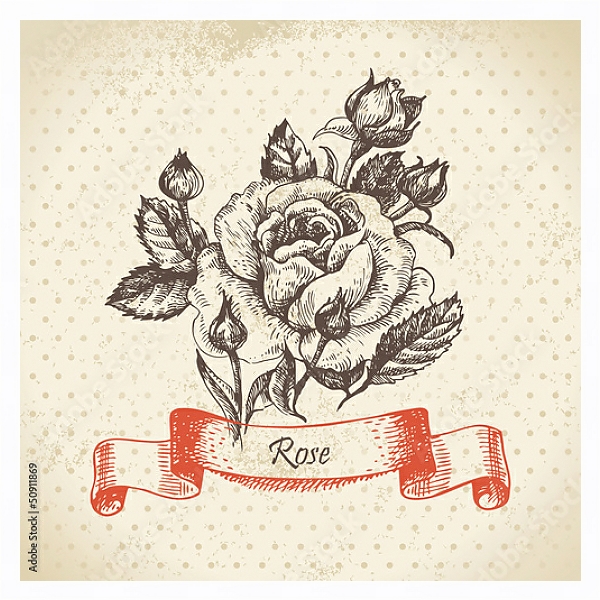 Постер Иллюстрация с розой и бутонами с типом исполнения На холсте в раме в багетной раме 221-03
