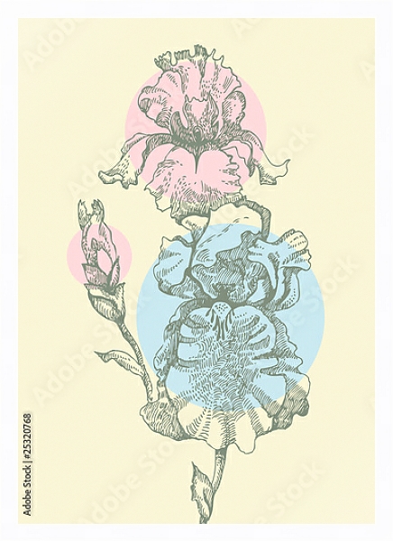 Постер Ирисы с разноцветными кругами с типом исполнения На холсте в раме в багетной раме 221-03
