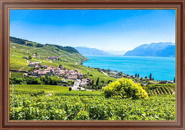 Постер Виноградники в регионе Лаво, Швейцария с типом исполнения На холсте в раме в багетной раме 35-M719P-83