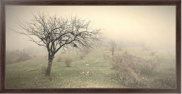 Постер Туман в поле с типом исполнения На холсте в раме в багетной раме 221-02