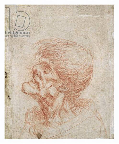 Постер Caricature Head Study of an Old Man, c.1500-05 с типом исполнения На холсте в раме в багетной раме 221-03