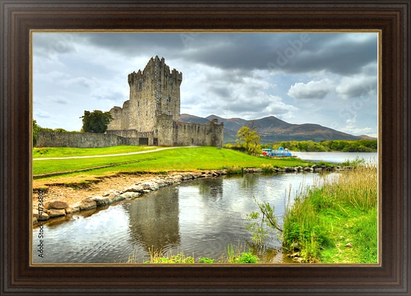 Постер Ирландия. Замок Росс с типом исполнения На холсте в раме в багетной раме 1.023.151