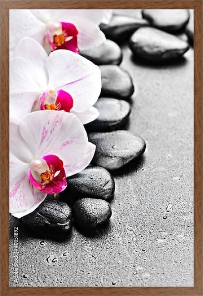 Постер Камни. Орхидеи с типом исполнения На холсте в раме в багетной раме 1727.4310