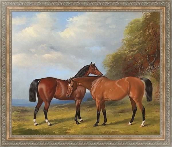 Постер Две скаковые лошади с типом исполнения На холсте в раме в багетной раме 484.M48.310
