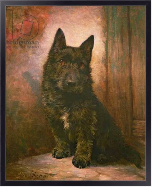 Постер Scottie Puppy с типом исполнения На холсте в раме в багетной раме 221-01