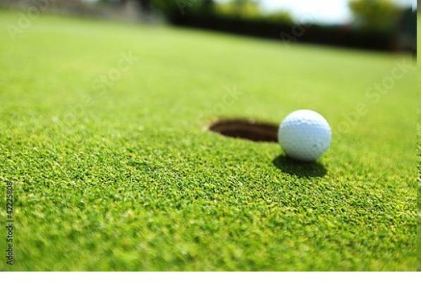Постер Мяч для игры в гольф с типом исполнения На холсте без рамы