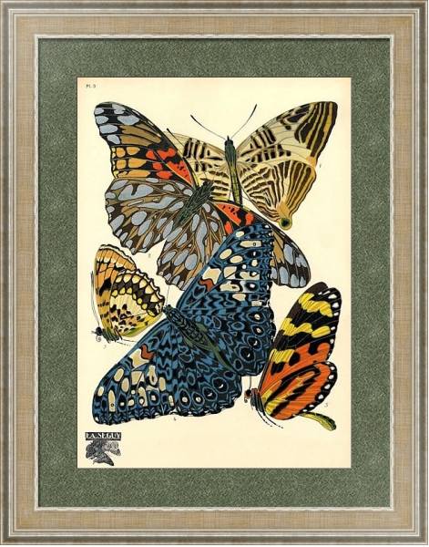 Постер Papillons by E. A. Seguy №14 с типом исполнения Акварель в раме в багетной раме 485.M40.584