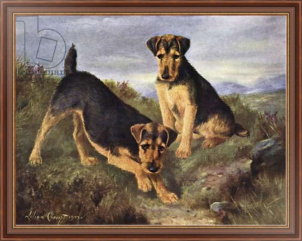 Постер Welsh Terriers Glansevin Coquette and Champion Glansevin Coda с типом исполнения На холсте в раме в багетной раме 35-M719P-83