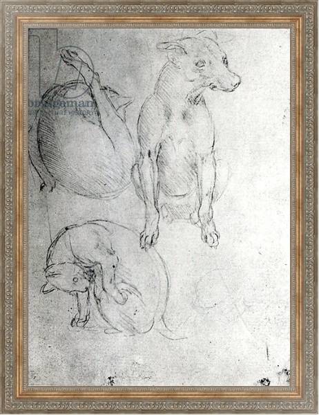 Постер Study of a dog and a cat, c.1480 с типом исполнения На холсте в раме в багетной раме 484.M48.310