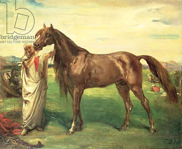 Постер Hadji, an Arabian Stallion, 1853 с типом исполнения На холсте без рамы