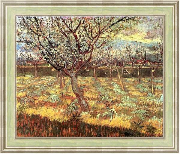 Постер Абрикосовые деревья в цвету с типом исполнения На холсте в раме в багетной раме NA053.0.113