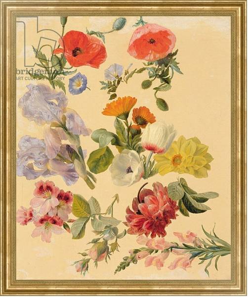 Постер Studies of Summer Flowers с типом исполнения На холсте в раме в багетной раме NA033.1.051