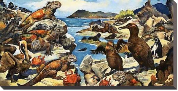 Постер Unidentified lizards, birds, crabs and creatures on a rocky shoreline с типом исполнения На холсте без рамы