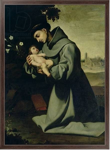 Постер St. Anthony of Padua с типом исполнения На холсте в раме в багетной раме 221-02
