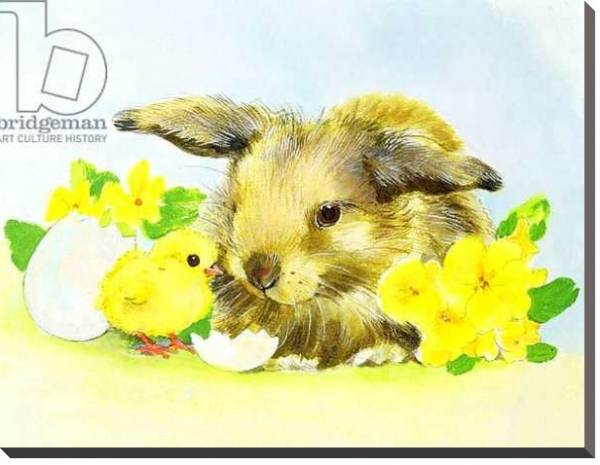 Постер Easter bunny with primrose and chick с типом исполнения На холсте без рамы