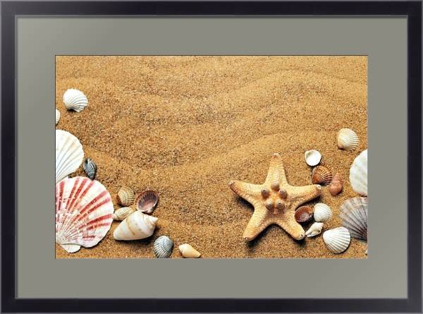 Постер Ракушки на песке с типом исполнения Под стеклом в багетной раме 221-01