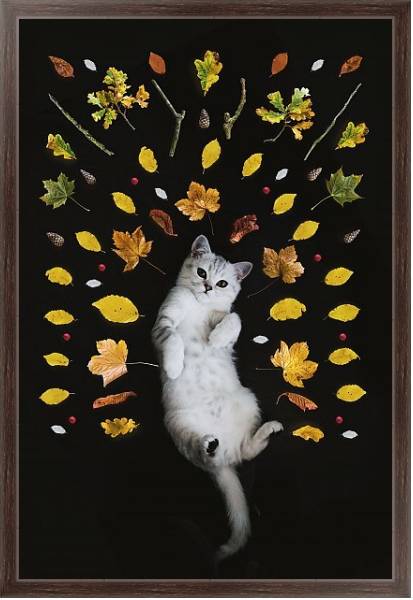 Постер Кот и осенние листья с типом исполнения На холсте в раме в багетной раме 221-02