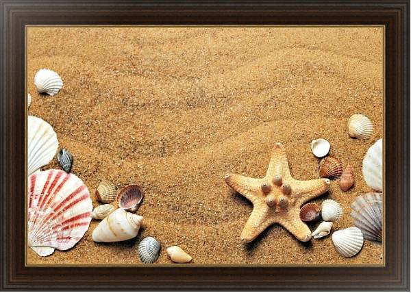 Постер Ракушки на песке с типом исполнения На холсте в раме в багетной раме 1.023.151